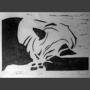 Katze, S/W, Hochdruck